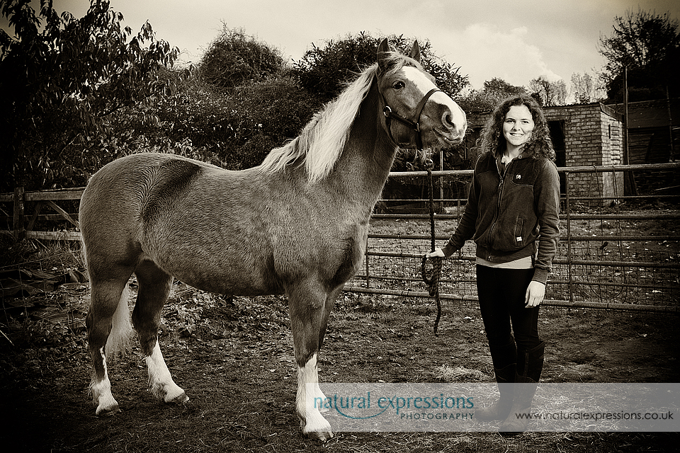 Lincoln equine & pet photographer